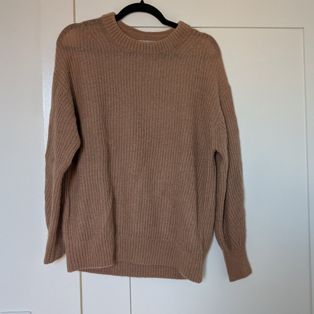 Everlane Cocoon Crew in Alpaca